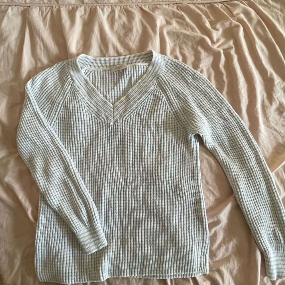 Loft V-neck sweater